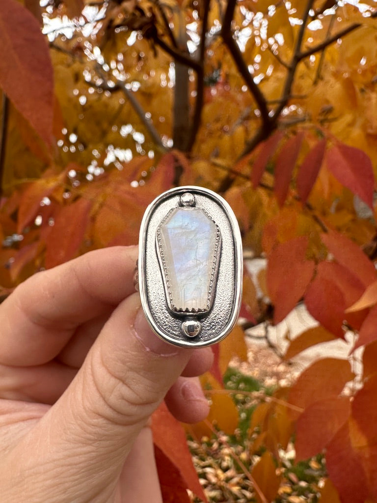 Coffin-stoned ring | Rainbow moonstone