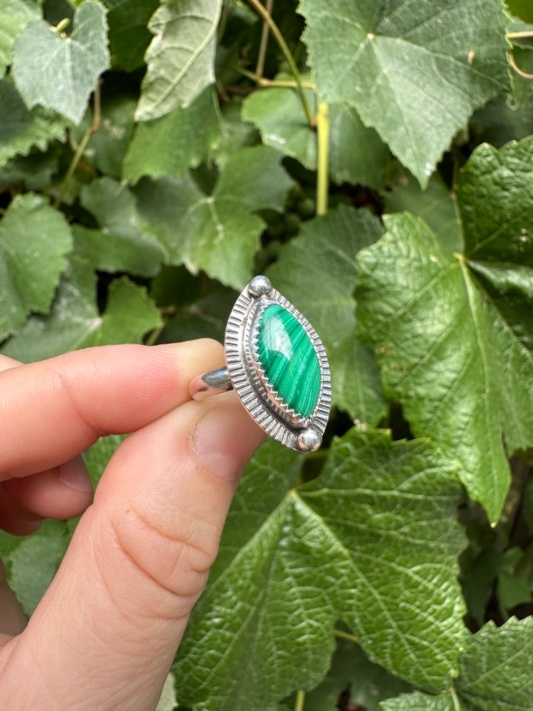 Shield ring | Malachite (size 5)