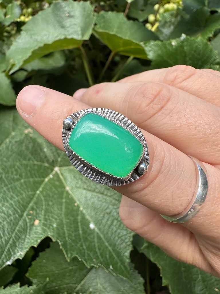 Shield ring | Australian chrysoprase (size 7)