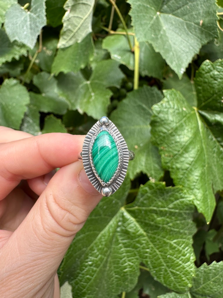 Shield ring | Malachite (size 5)