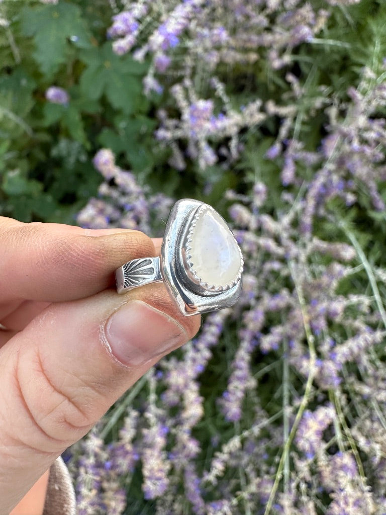 Uncommon ring | Rainbow moonstone (size 5)