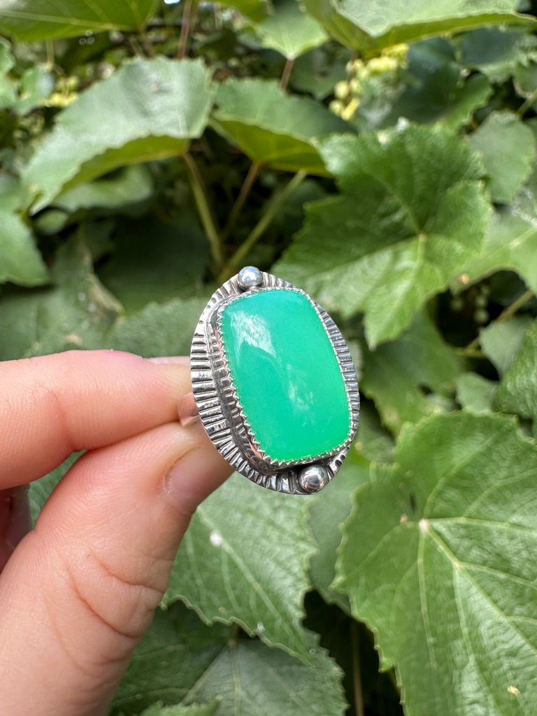 Shield ring | Australian chrysoprase (size 7)