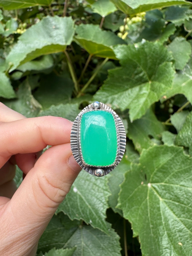 Shield ring | Australian chrysoprase (size 7)