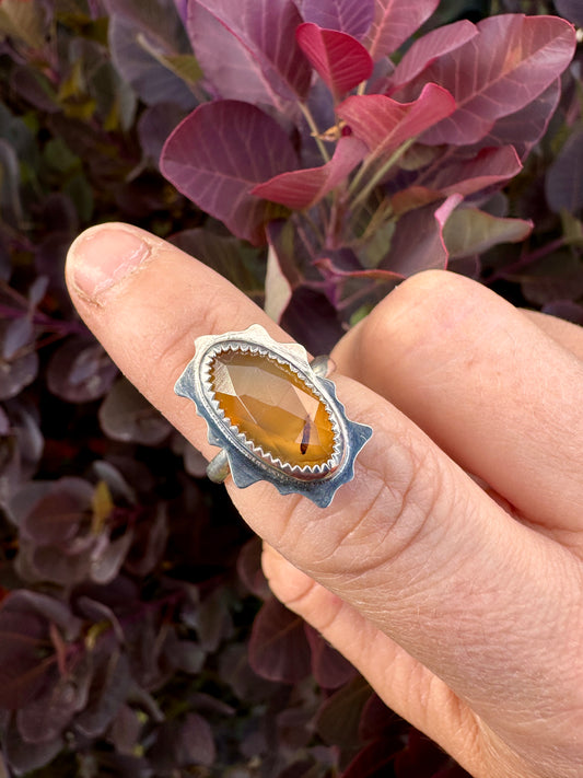 Amoeba ring | Montana agate