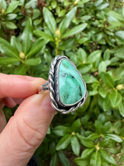 Roped In ring | Angel Wing variscite (size 7)