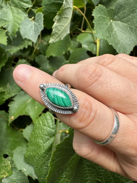 Shield ring | Malachite (size 5)