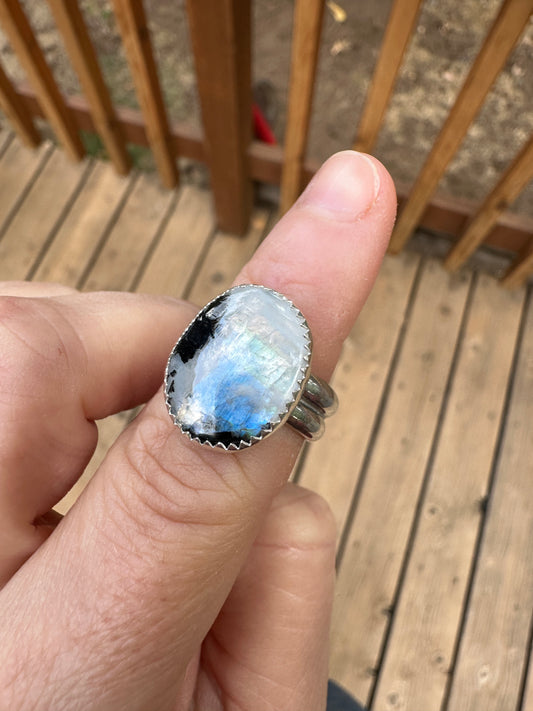Plain Jane ring | Rainbow moonstone + tourmaline (size 7)